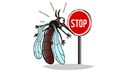 5 средств от комаров, эффективных на открытом воздухе
